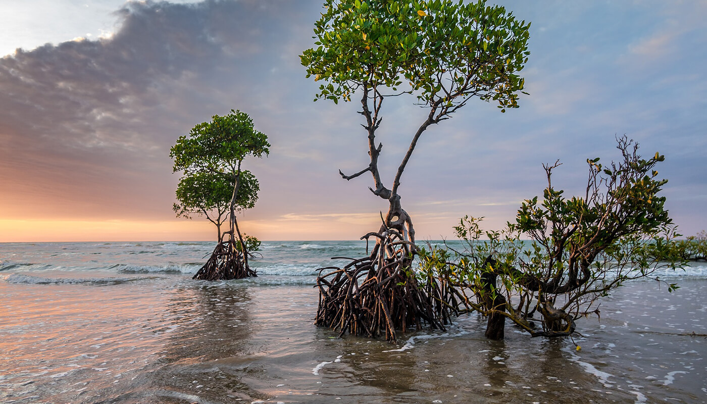 Kiribati wordt getroffen door klimaatverandering